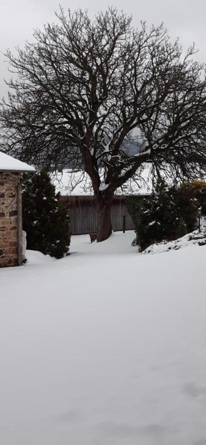 Hotel La Ferme Berger Les Ardillats Exterior foto